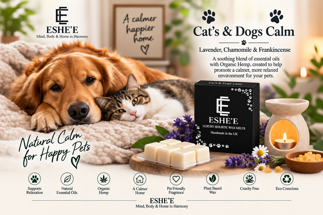 Helping Pets Feel More Settled on Bonfire Night with ESHE’E Cats & Dogs Calm Wax Melts