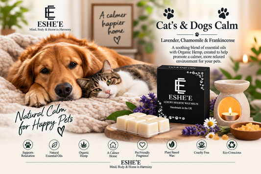 Helping Pets Feel More Settled on Bonfire Night with ESHE’E Cats & Dogs Calm Wax Melts
