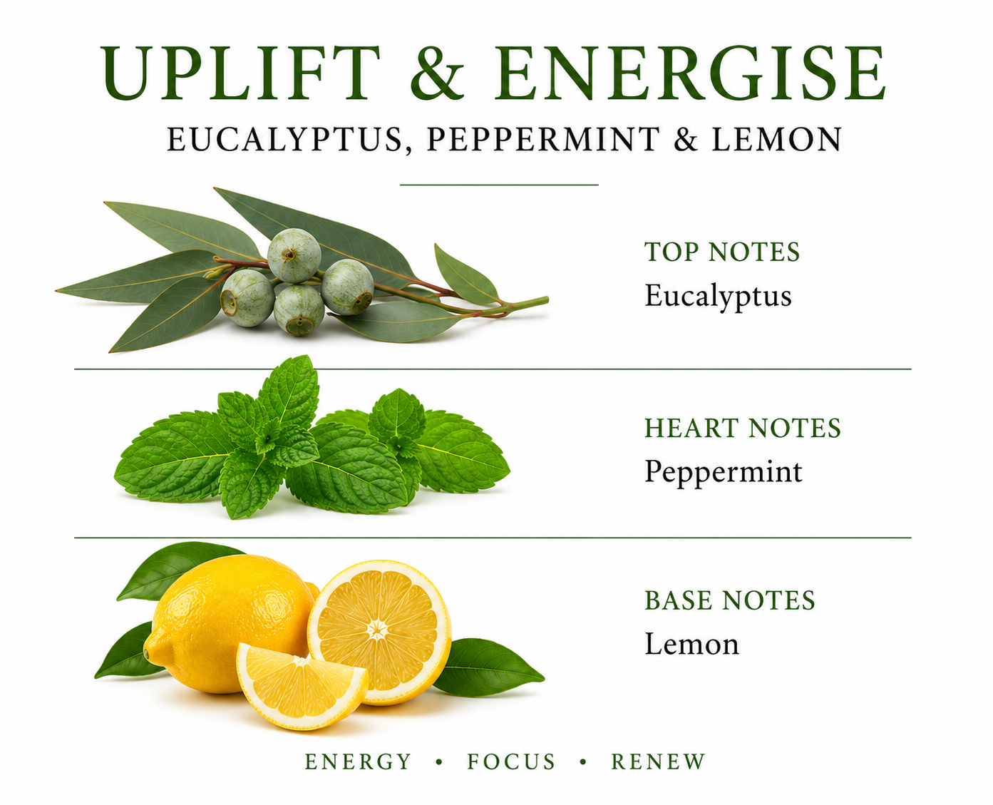 ESHE’E Uplift & Energise Holistic Wax Melt – Eucalyptus, Peppermint & Lemon